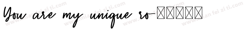 You are my unique ro字体转换